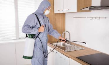 Household Pest Management