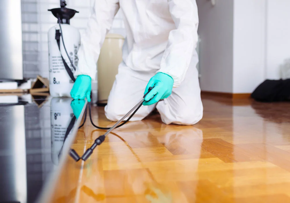 Termite Control Service