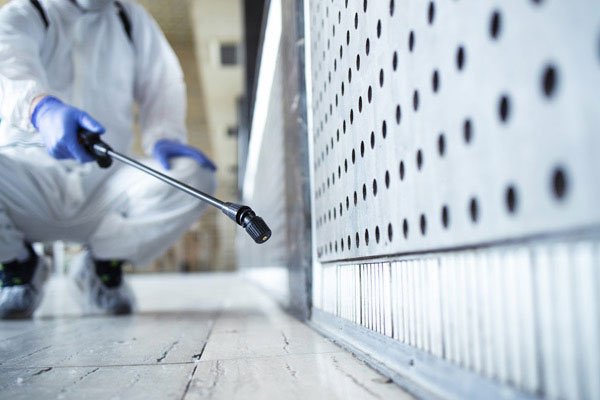 Termite Control Service
