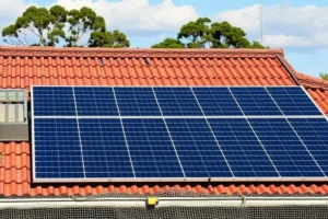 Bird Proofing Solar Panels in Canberra: Complete Guide