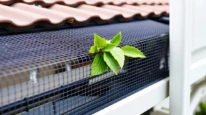 5 Benefits of Gutter Guards for Canberra Homes