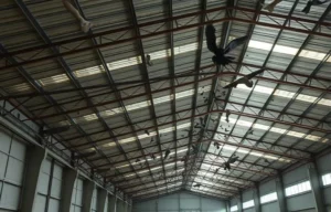 Bird Control for Canberra Warehouses & Industrial Sites