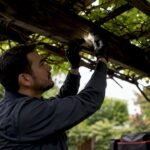 Technician inspecting pest entry near garden wall