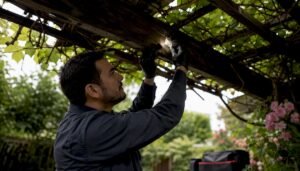 Eco-Friendly Pest Control: Safe, Effective IPM Options