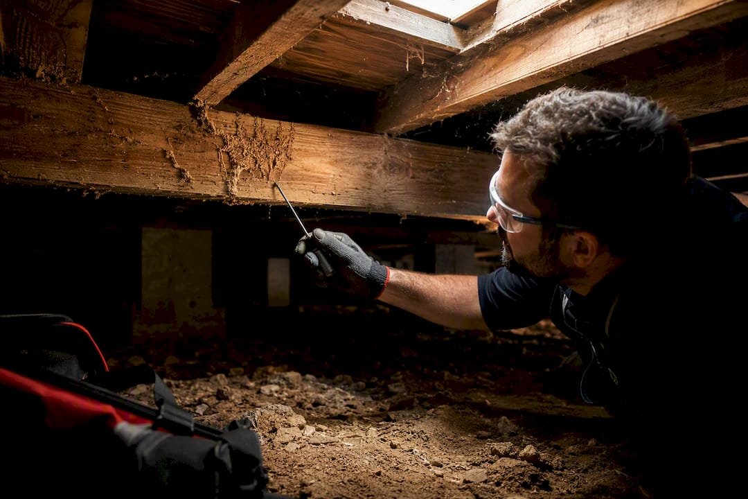 Gloved hand probing timber in subfloor space