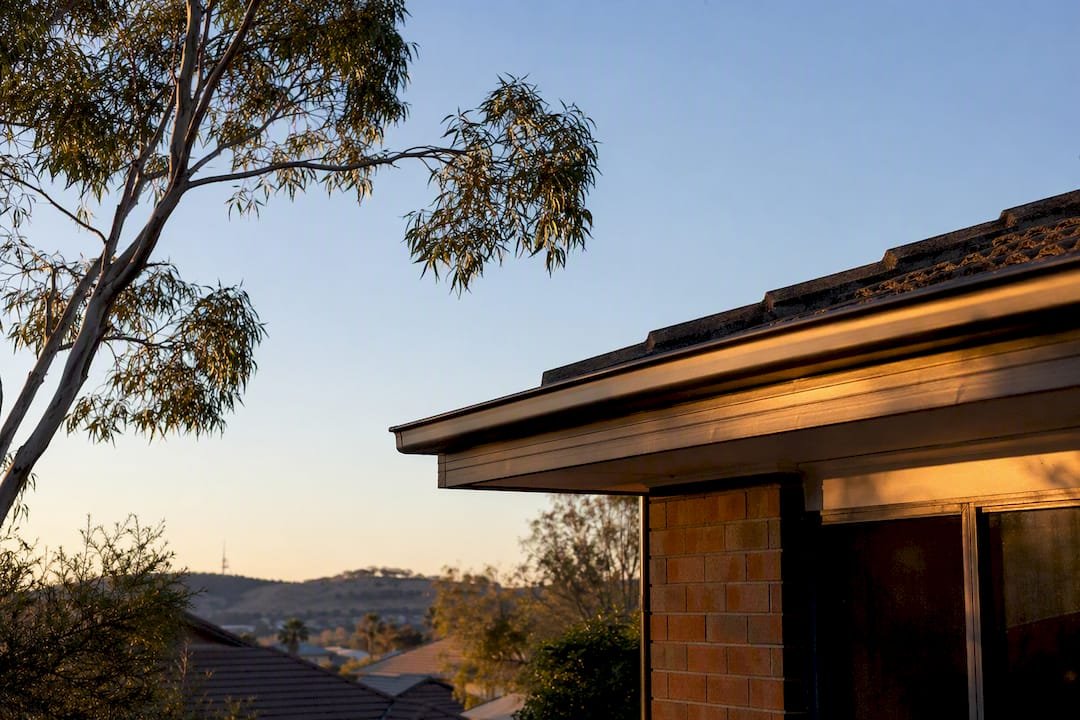 Trimmed tree branches clear of roof eaves