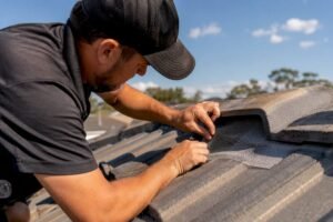 Birds in Roof: Safe Removal and Prevention for Homeowners