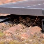 Pigeon nest under a solar panel gap