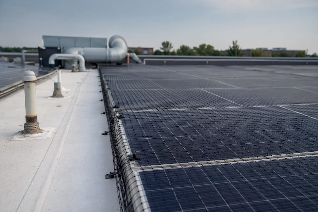 Bird netting over commercial solar panels