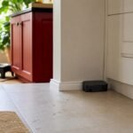 Pet-safe ant bait station on kitchen floor