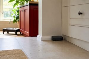 Pet Safe Ant Treatment: What to Use and What to Avoid