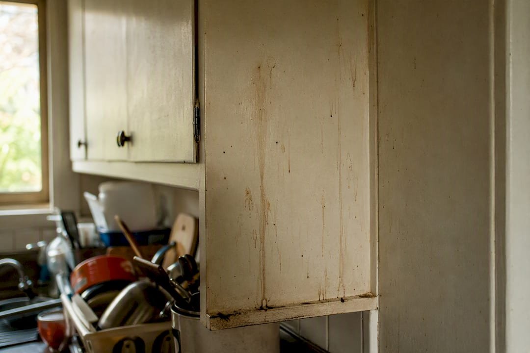 Greasy smear marks on cupboard walls from cockroaches