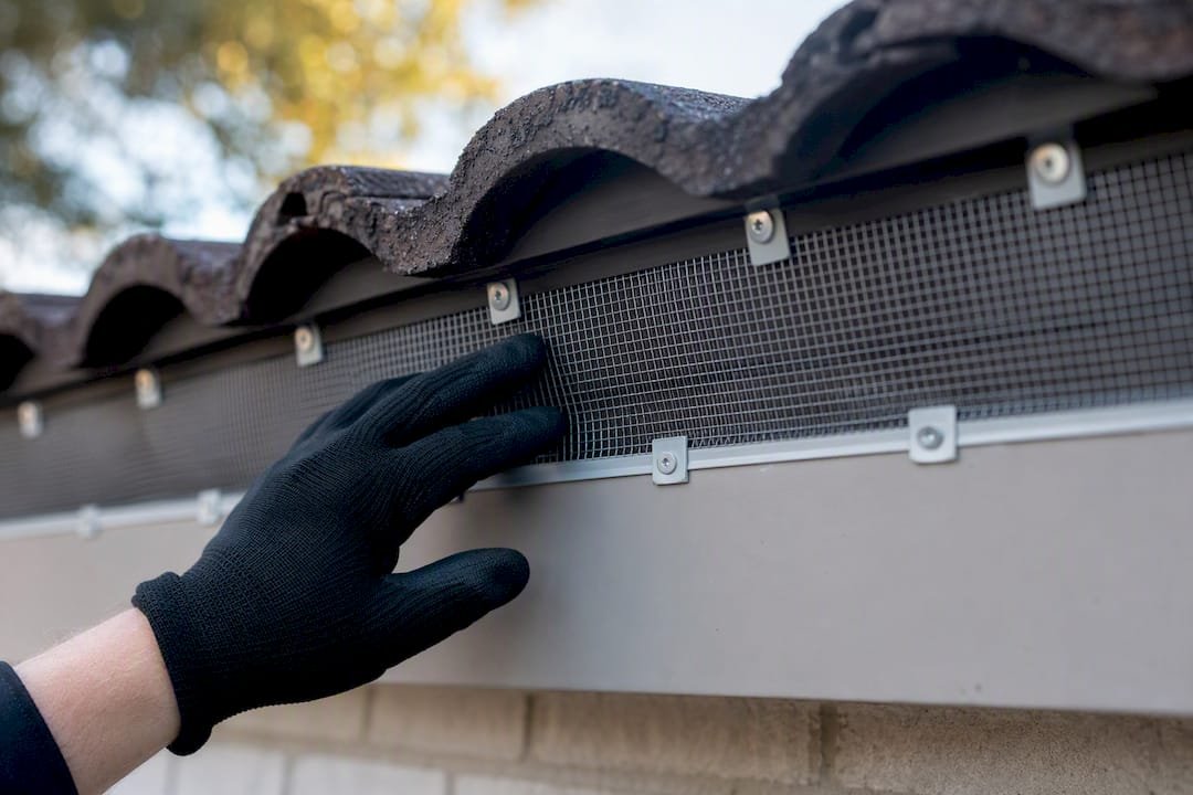 Technician inspecting bird proofing mesh