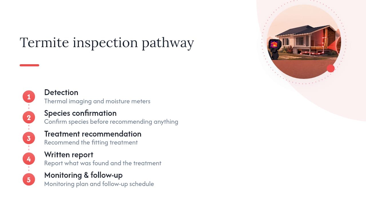 Termite inspection and follow-up process