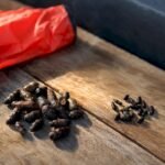 Rat and mouse droppings compared by appearance
