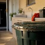 House flies gathering around outdoor waste bin