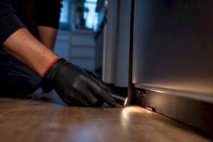 Spot 5–13 mm Cockroach Eggs and Remove Them Safely for Homeowners