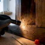Inspecting borer holes in structural timber