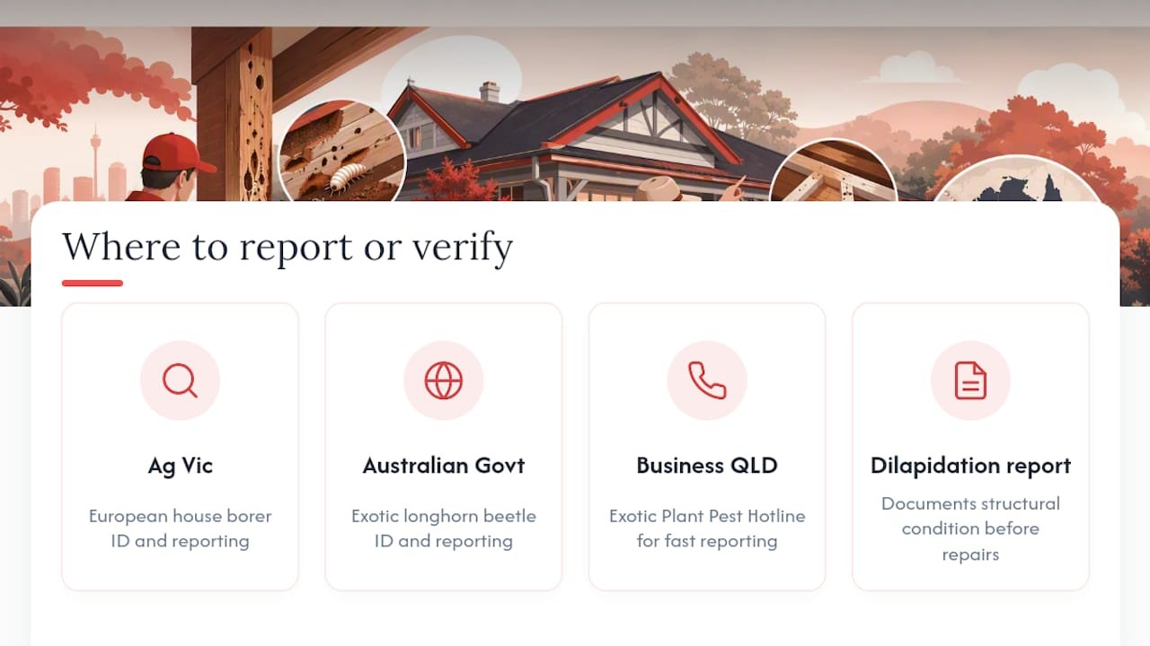 Where to Report or Verify a Suspected Priority Pest — overview diagram