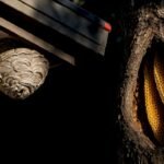 Papery wasp nest beside golden bee honeycomb