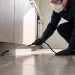 Professional header image for list-based article: Pest Control Canberra: Local Expert Protection for Every ...