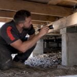 Technician inspecting timber joists under Australian home