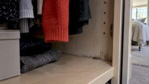 Homeowners: Fix Wardrobe Humidity to Stop Silverfish, Quarantine 2–3 Weeks