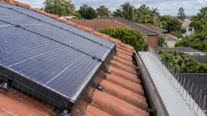 5mm Mesh Matters for Australian Homeowners Choosing Netting or Spikes