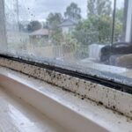 Mould speckles along a damp window seal