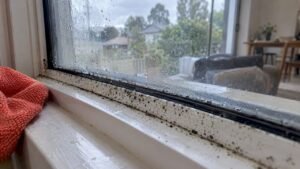 Wiping Alone Won’t Stop Window Mould in Australia