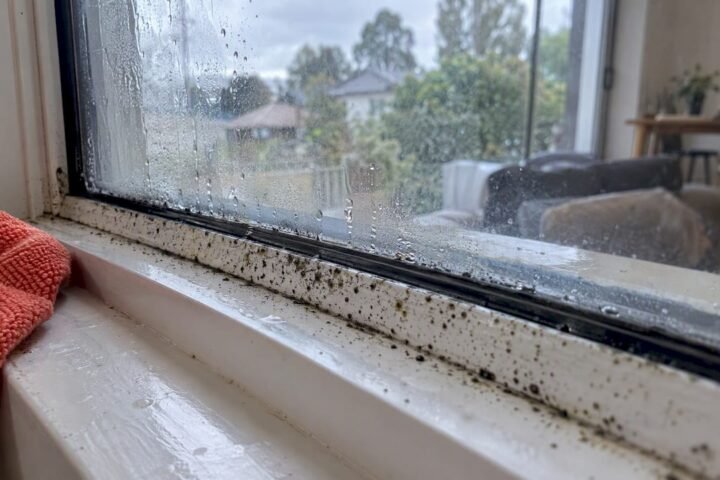 Mould speckles along a damp window seal