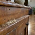 Fresh frass beneath holes in wooden furniture