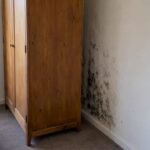 Hidden mould growing behind a wardrobe