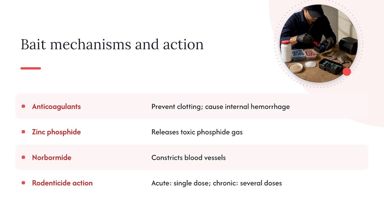 Rodenticide groups and how they act