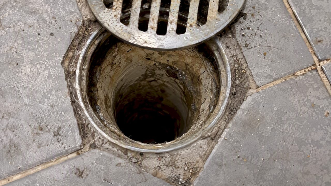 Organic film inside a laundry floor drain