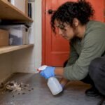Homeowner disinfecting a rodent nest safely