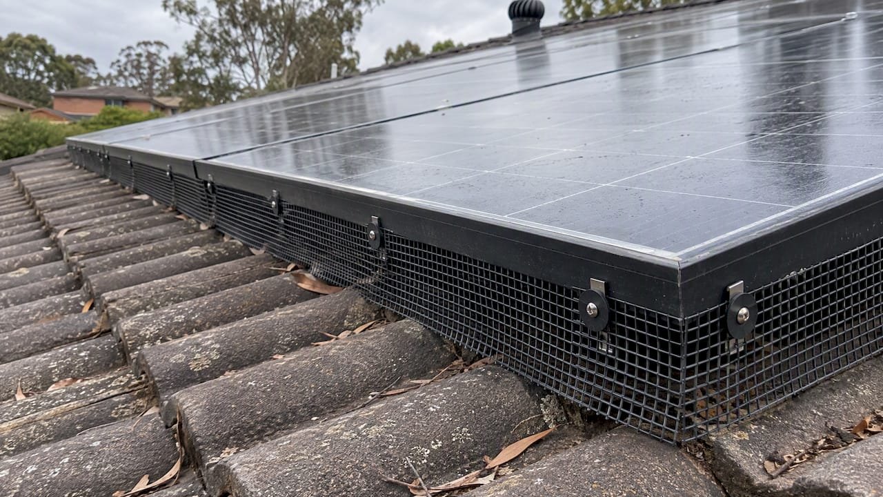 Mesh barrier excludes birds from solar panels