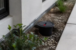 Do Termite Barriers Expire? Re-Treatment in Canberra